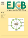 EUROPEAN JOURNAL OF CELL BIOLOGY雜志封面